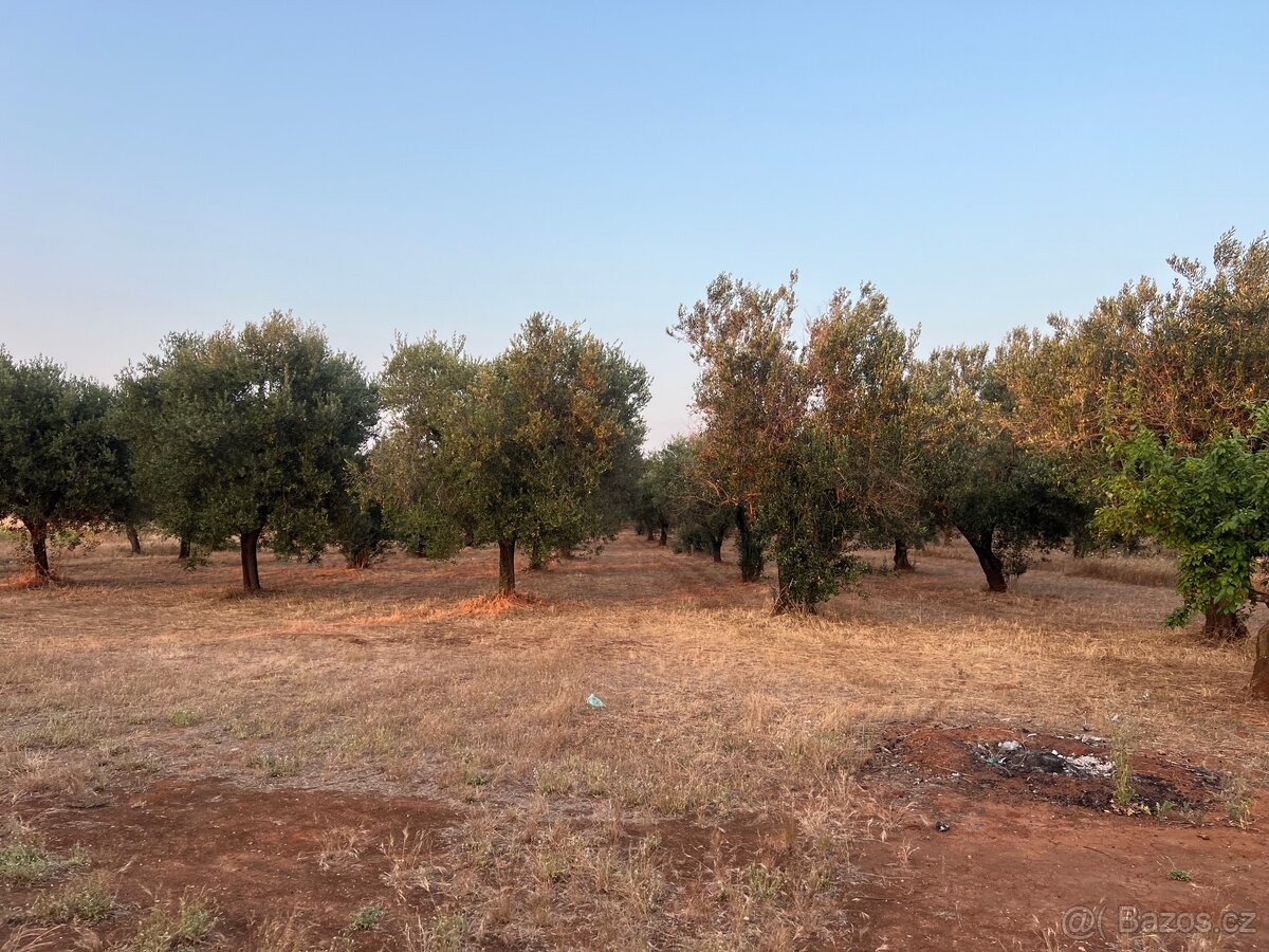 Vila 10 minut od moře Apůlie🇮🇹 - 15