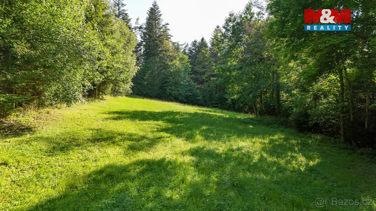 Prodej lesa, 15707 m², Petrovice u Sušice - 15