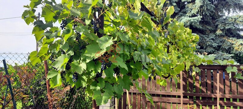 Pozemek pro výstavbu RD s chatou u Osvětiman - 15