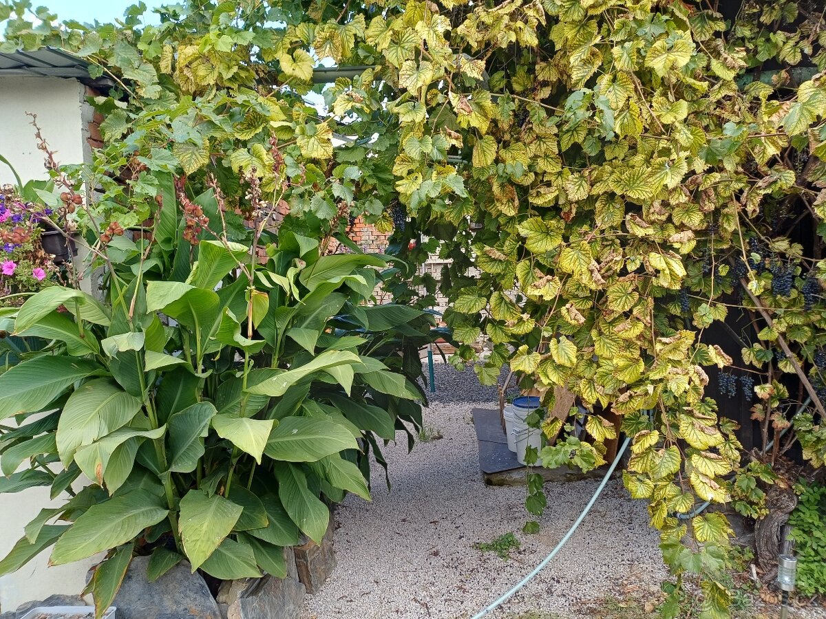 pronájem 3+1 Lipnik nad Bečvou Loučka - 15