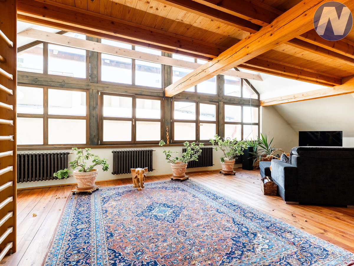 Prodej komerčního objektu, Komenského, Husinec - 15