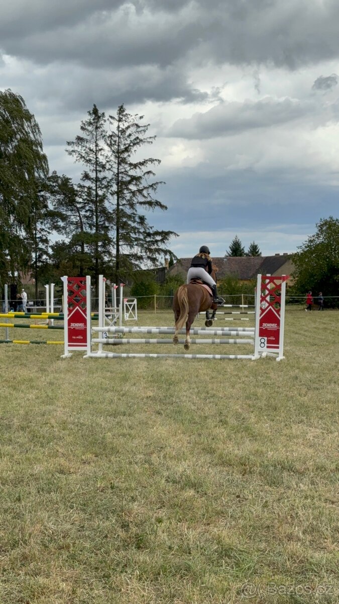 WPBR kobyla i pro začátečníky - 15