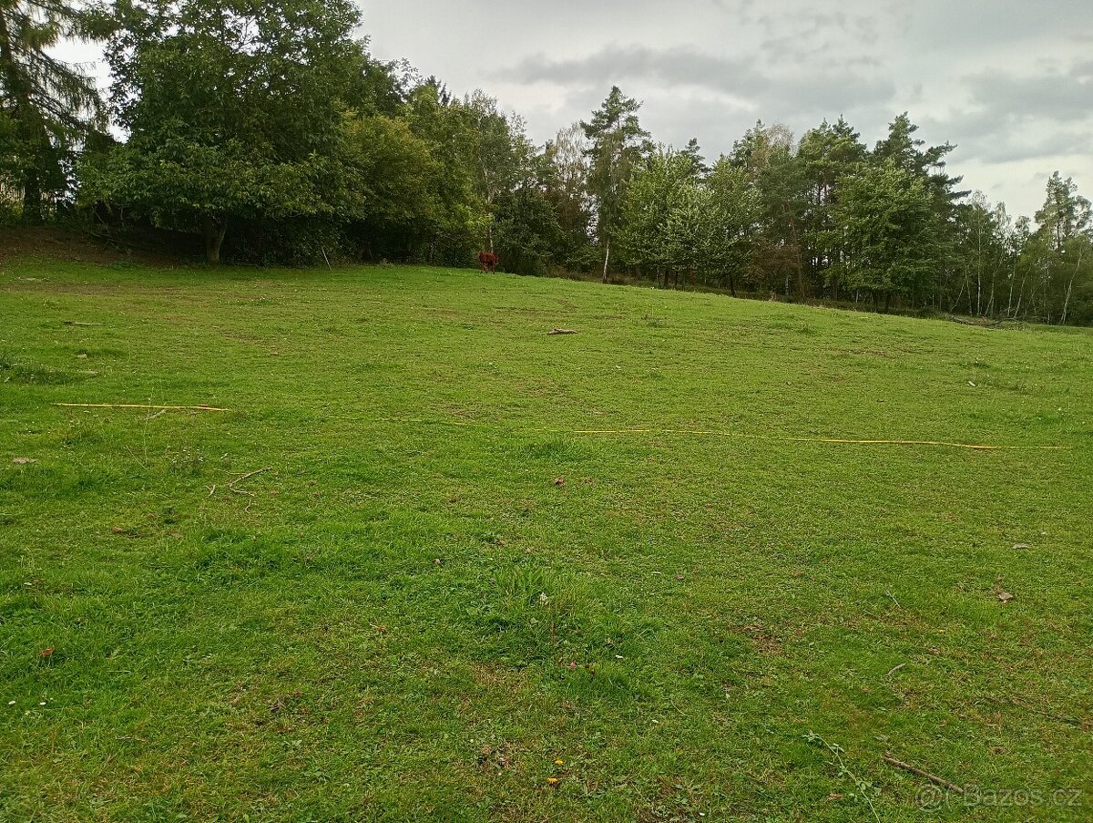 Zahrada v intravilánu obce, výměra: 7.428 m2. - 15