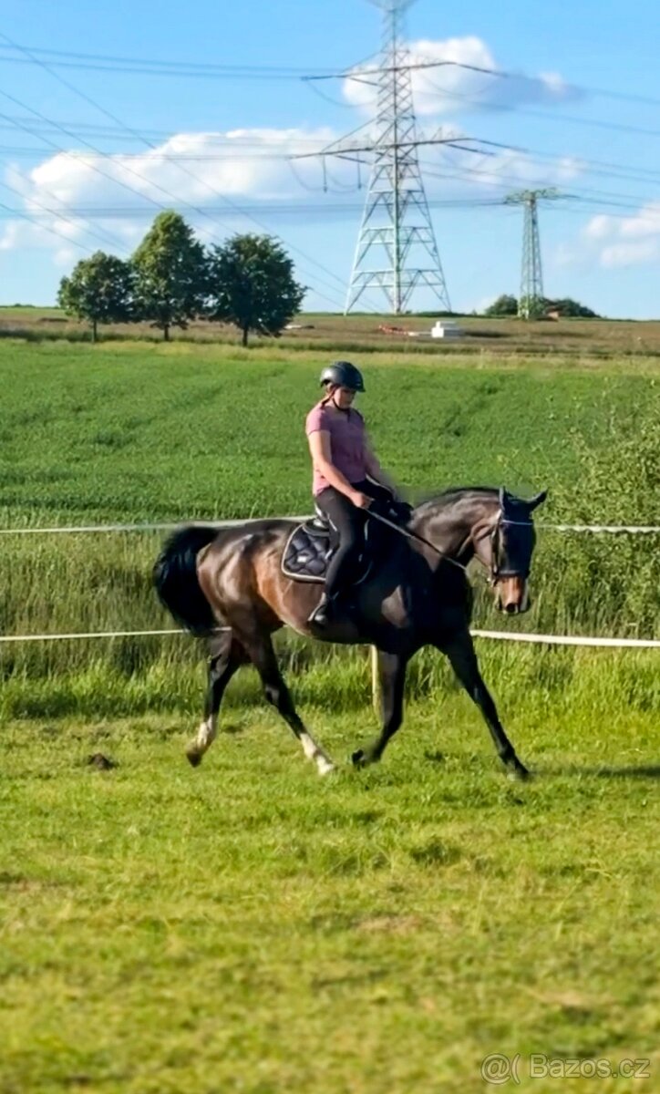 Pastevní ustájení v klidné rodinné stáji od JARA - 15