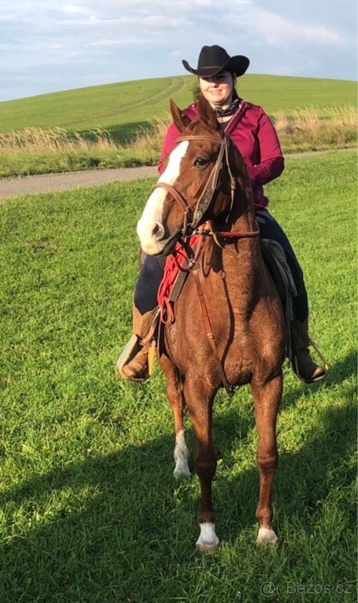 Westernové sedlo - 15