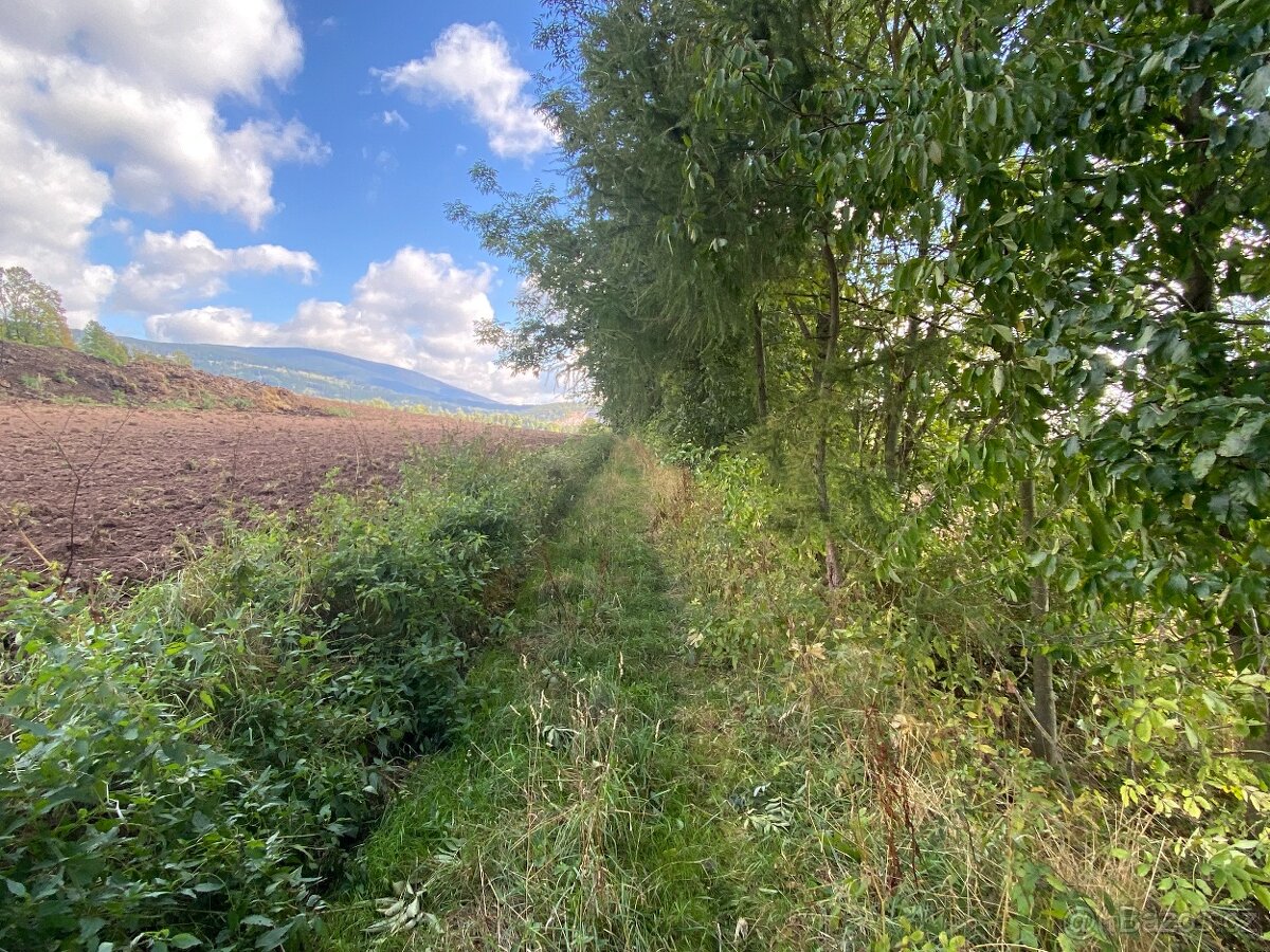 Lesní pozemek a pozemek ostatní plocha Horní Lánov - 15