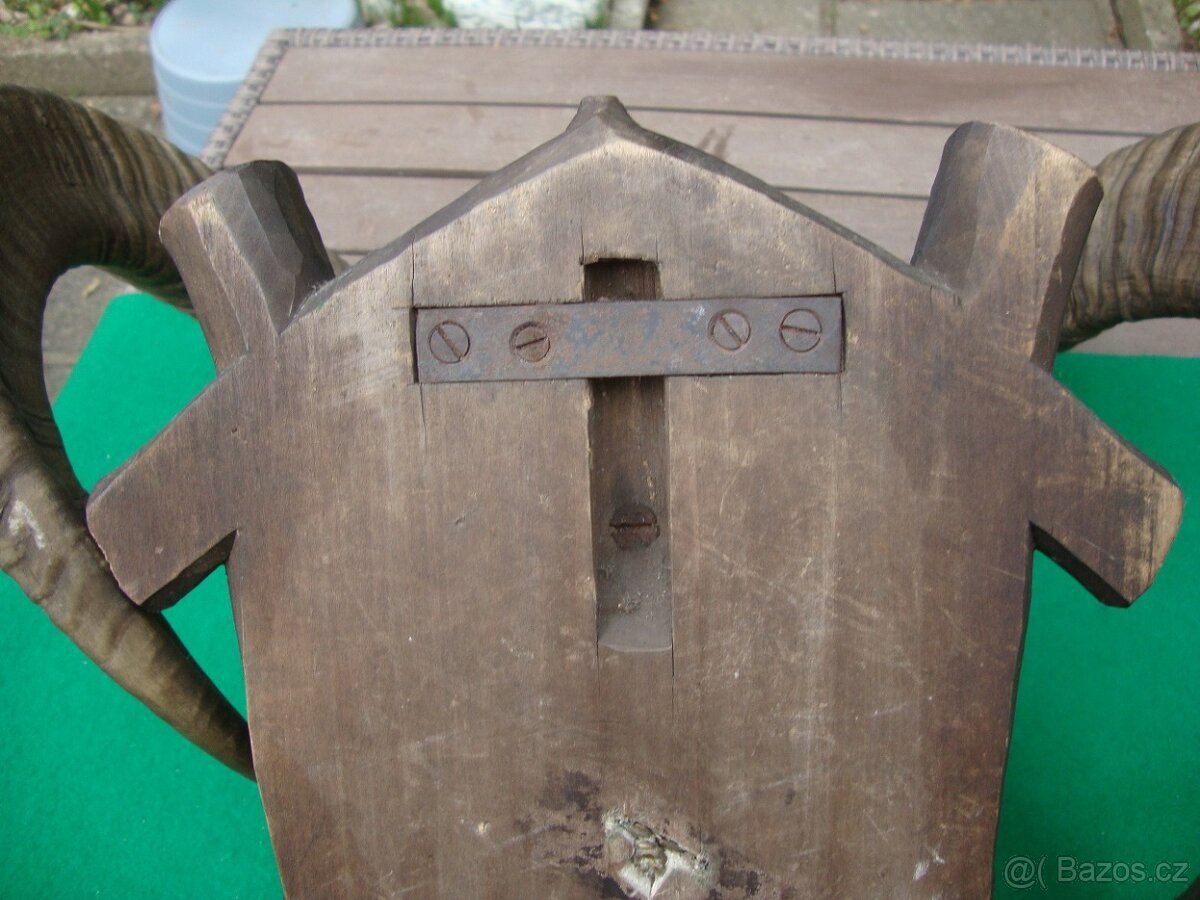 Starožitná Mufloní trofej Muflon 1912 medailové rozměry top - 15