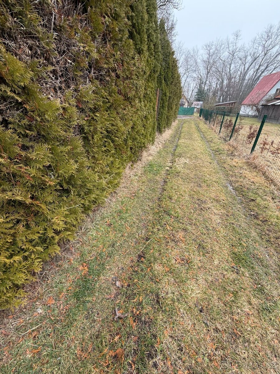 Chata, Třebívlice - 15