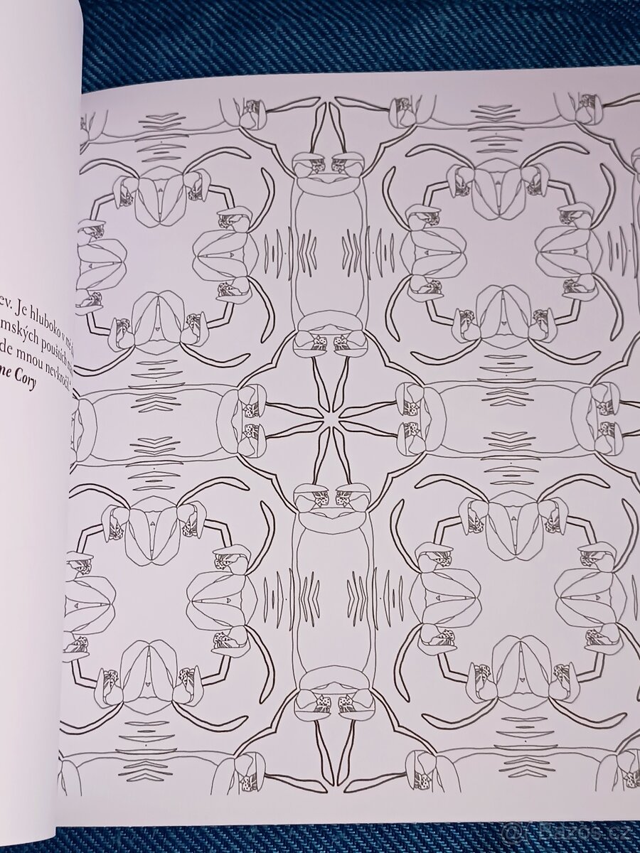 Omalovánky pro dospělé: Inspirativní a ............. - 15