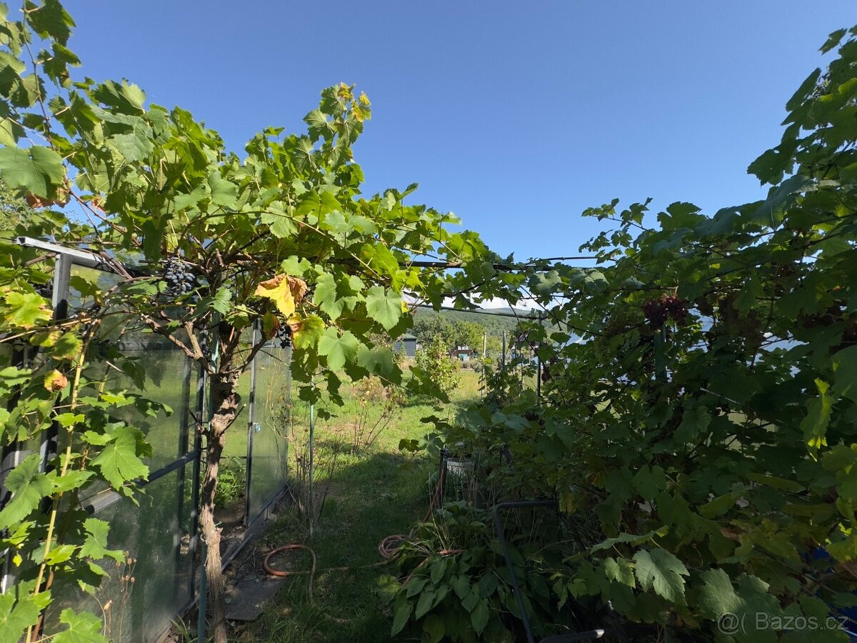 Prodej chaty 16 m², Dubí - 15