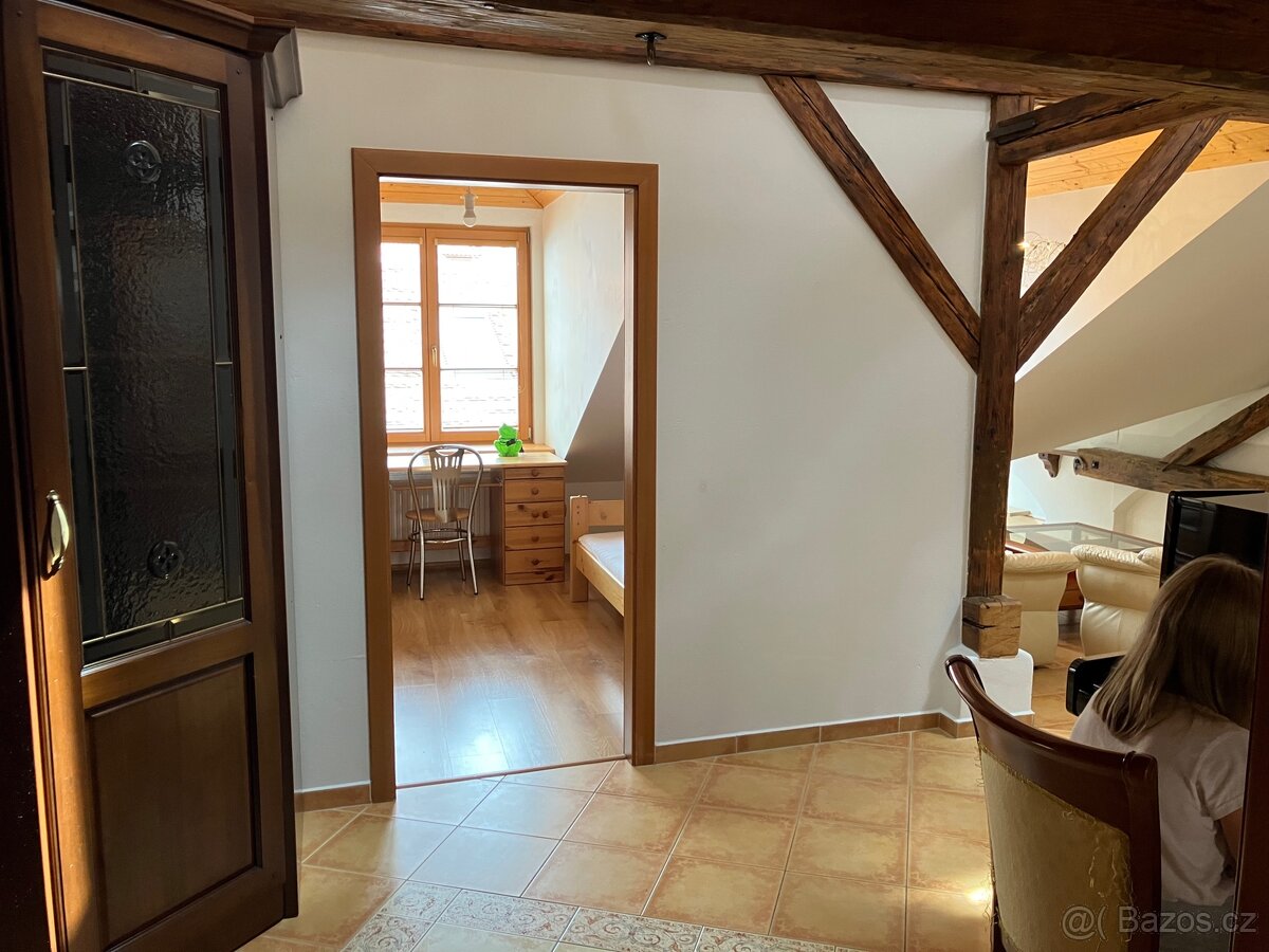 Pronájem bytu v centrum Českých Budějovic - 15