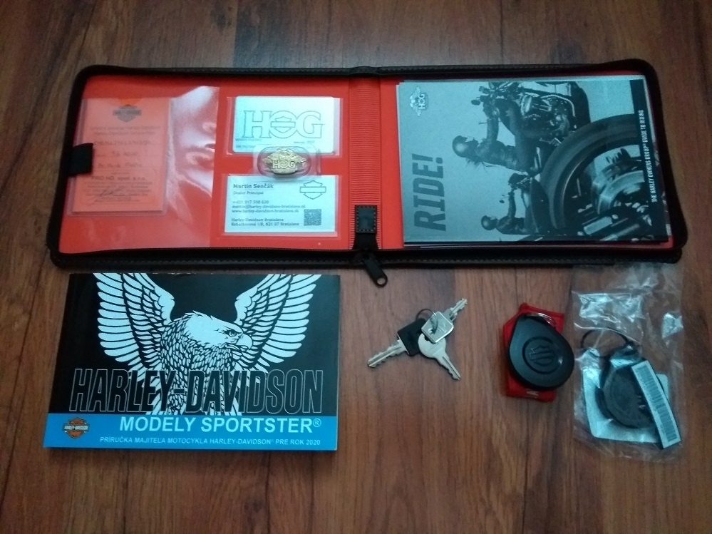 2020_Harley-Davidson Sportster 1200T Superlow ABS_1.maj.SR_ - 15