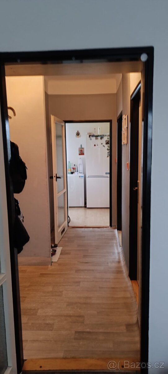 Byt 3+1 cihla Plzeň Bory Máchova ulice - 15