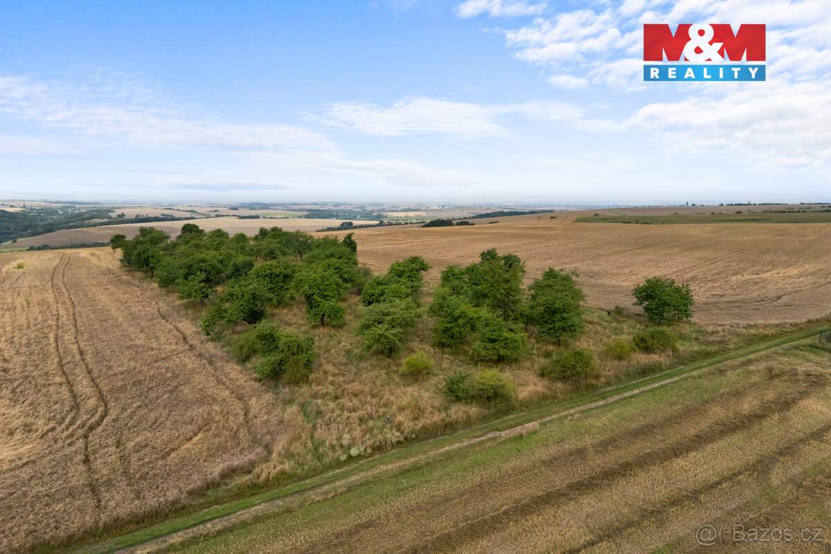 Prodej ovocného sadu, 5202 m², Kralupy nad Vltavou - 15