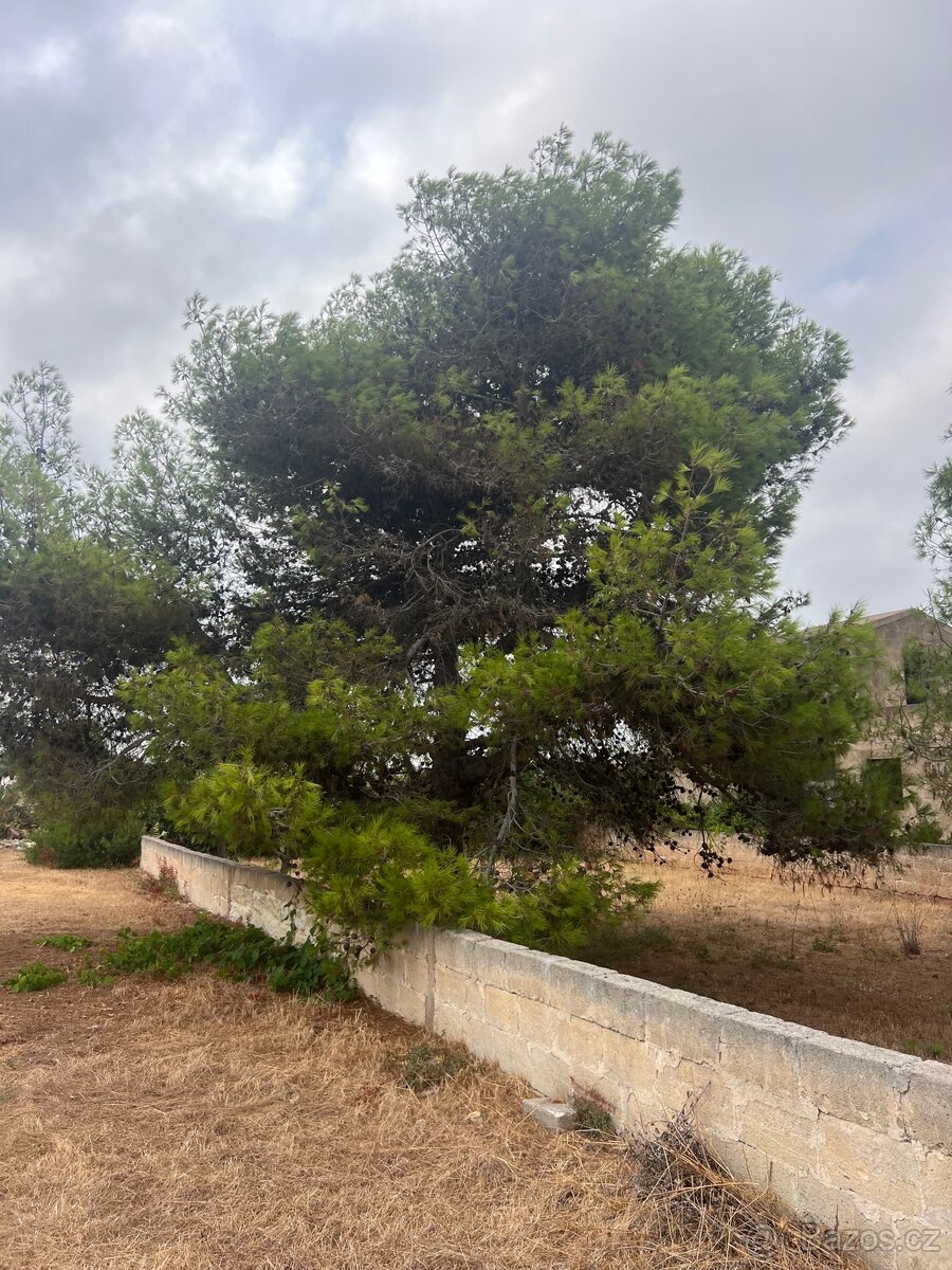 Pozemek 1100m2 500m od pláže🇮🇹 - 15