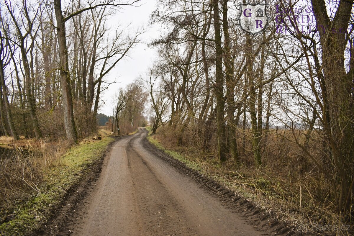 Prodej, rybník, Křivsoudov - 15