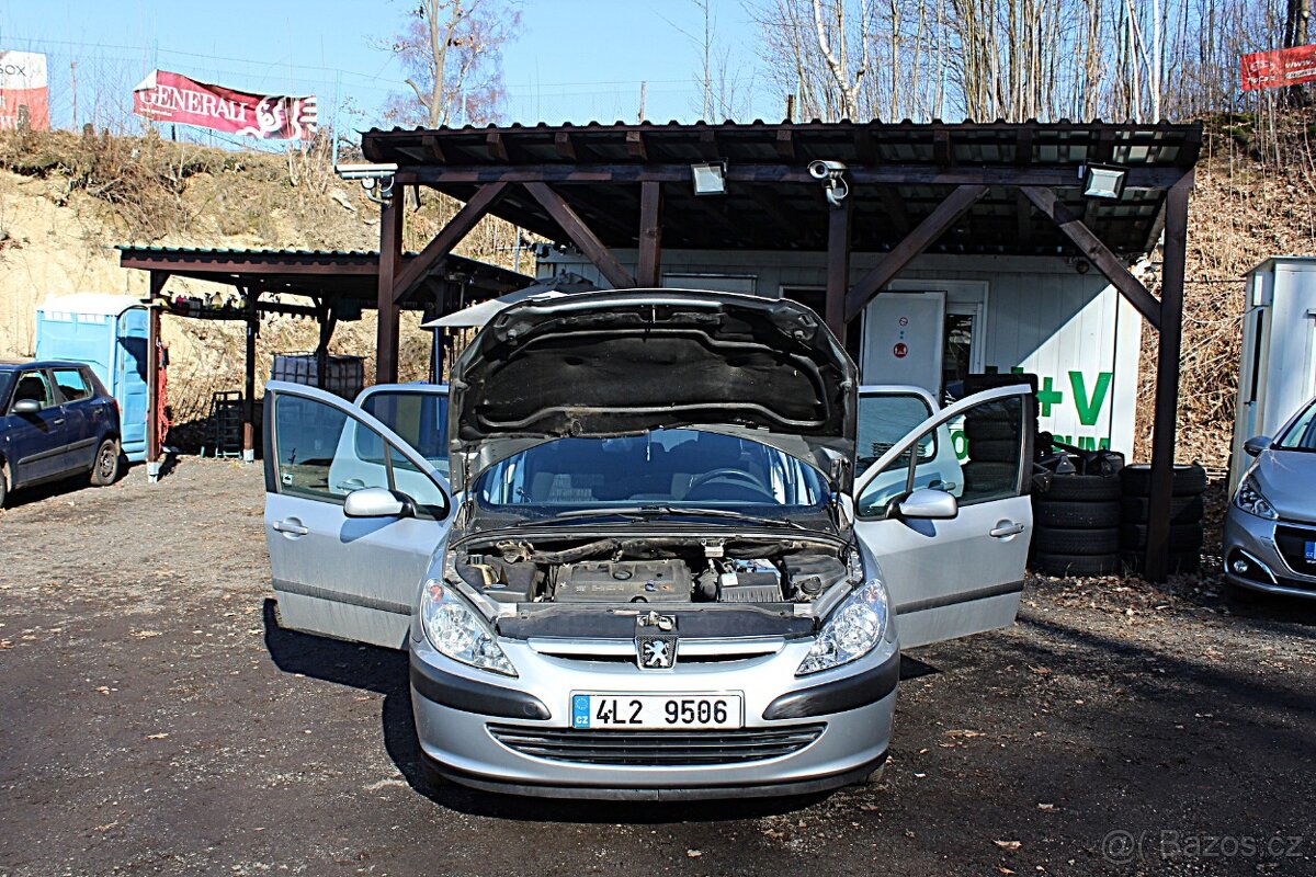 Peugeot 307 - 15