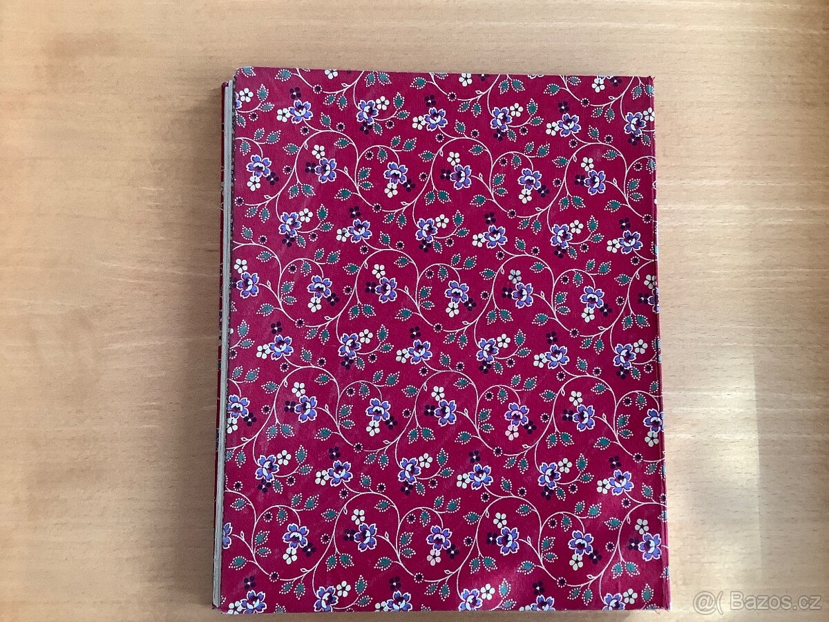 Božena Němcová: Pohorská vesnice, Česká grafická unie, 1921 - 15