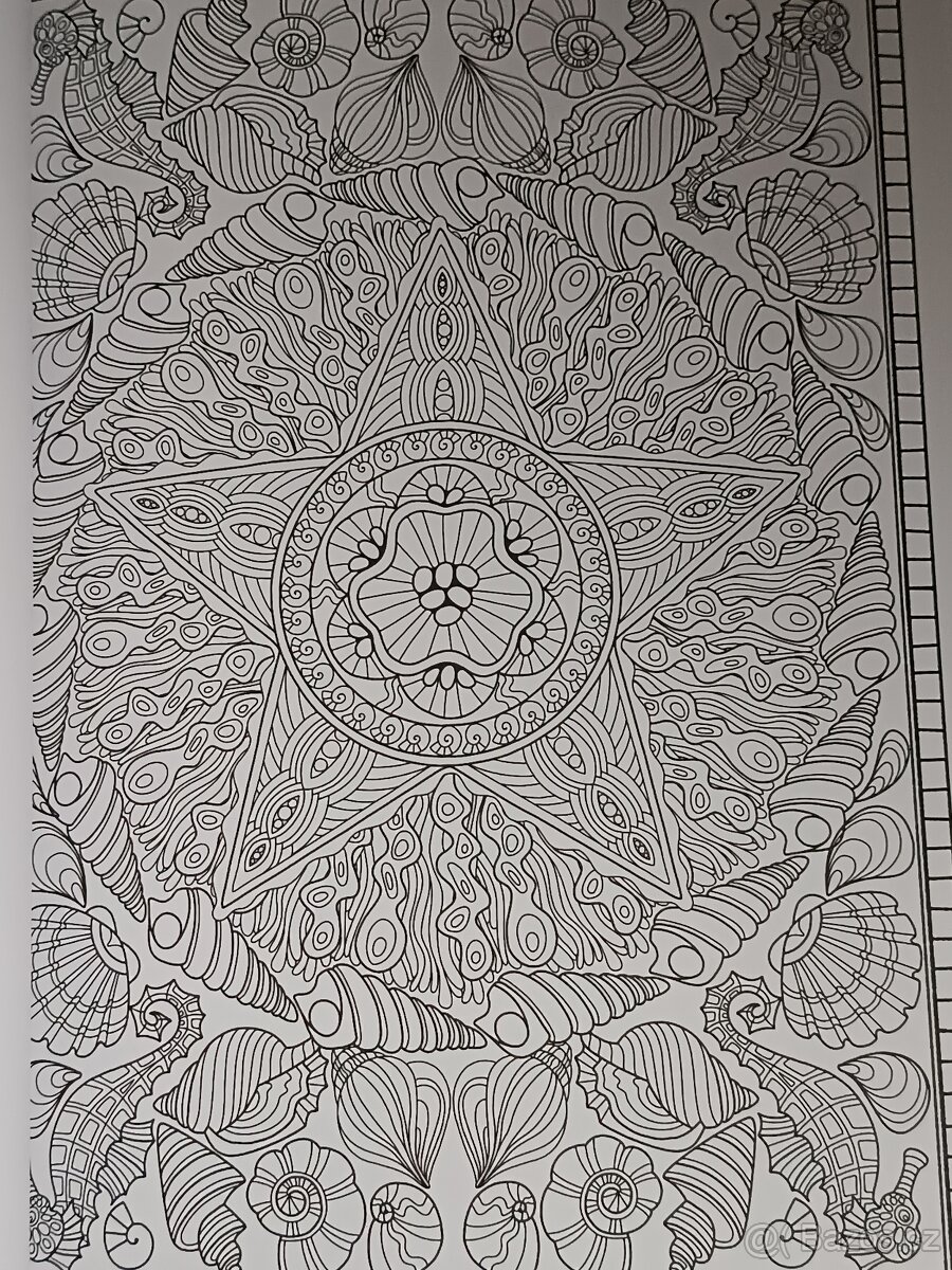 omalovánky pro dospělé-Spectacular Sea Life Designs - 15