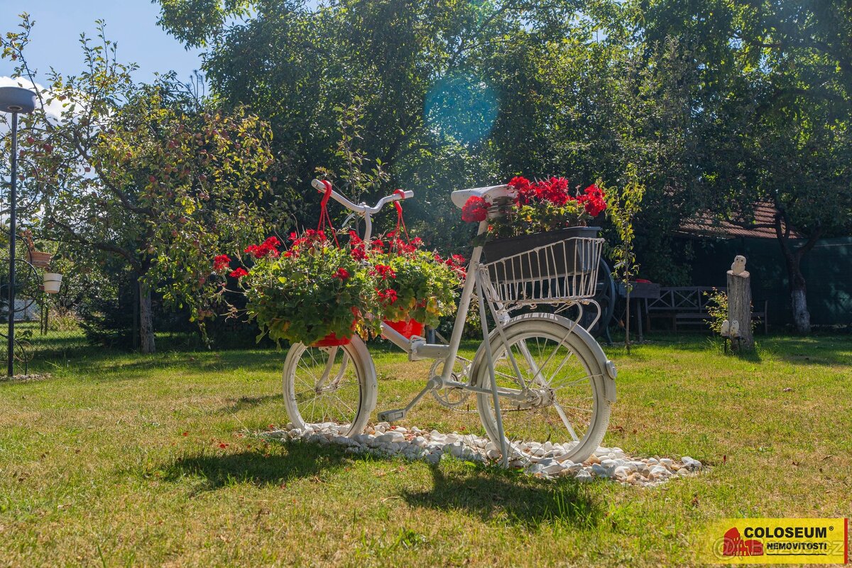 Šumná, RD 3+1, 150 m², zahrada, hospodářská budova, garáž – - 15