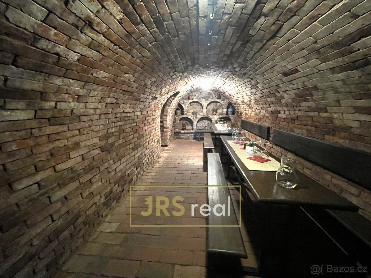 Prodej penzionu s CP 250 m² v Bořeticích na Kraví hoře - 15