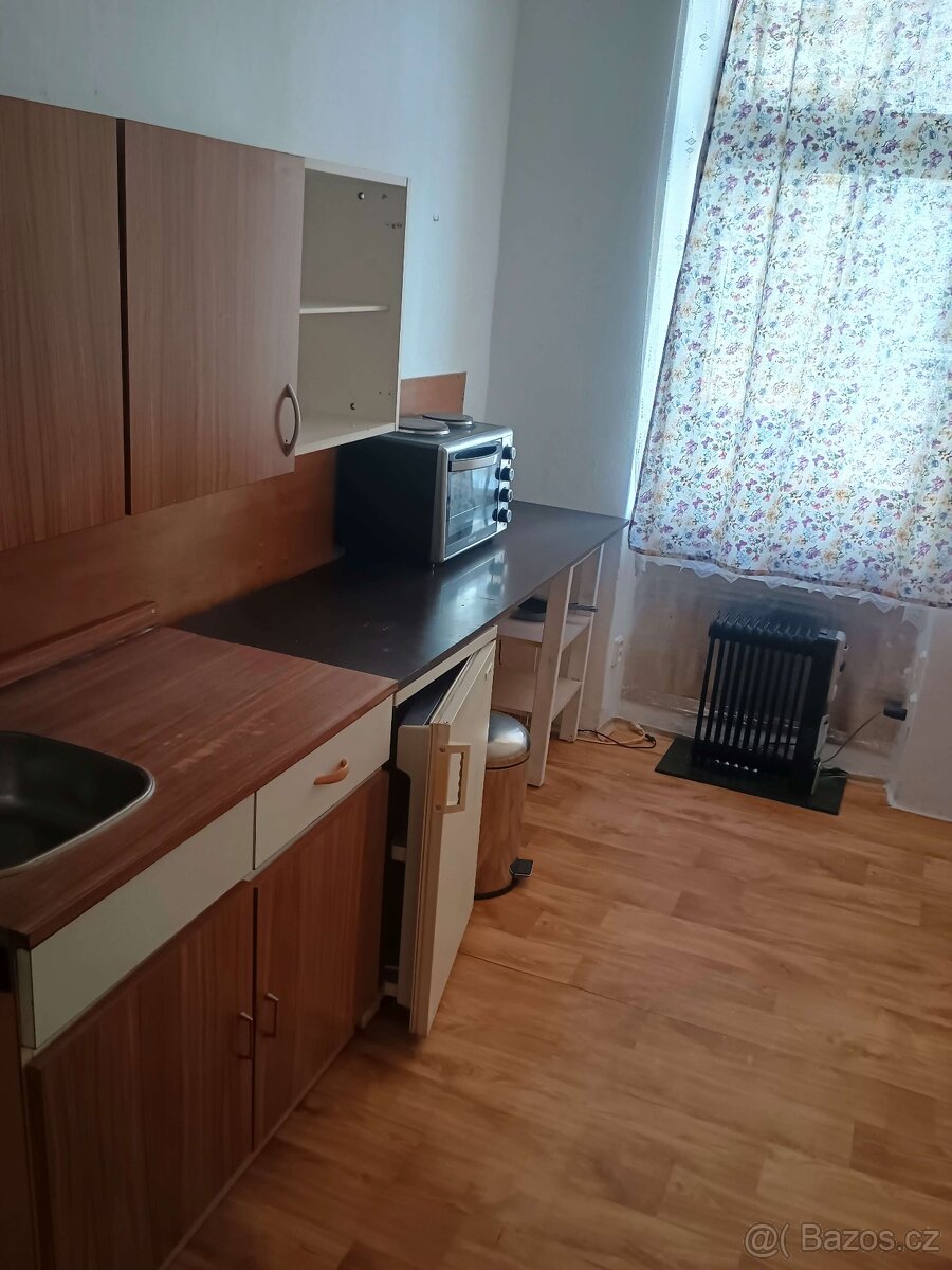 Pronájem 1+1 České Budějovice, Skuherského na Pražském předm - 15