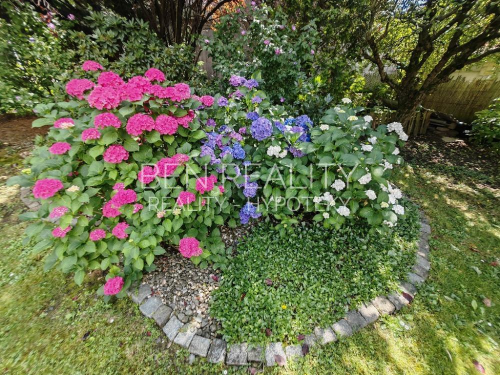 Exklusivní prodej - dům Zlín tř. T. Bati - k bydlení i podn - 15