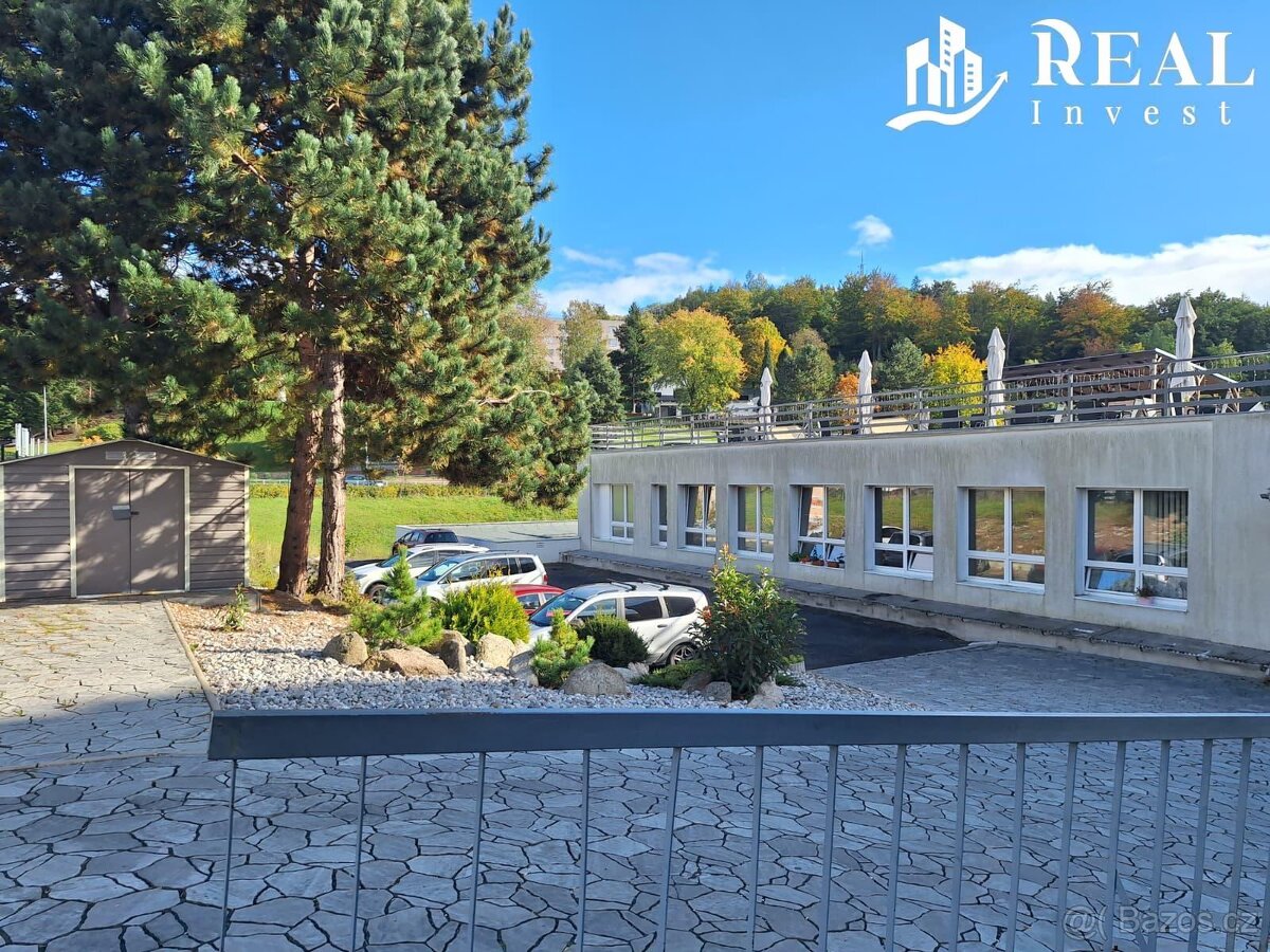 Pronájem, byt 1kk, 30m2, ul. Nám. 8. května, Meziboří - 15