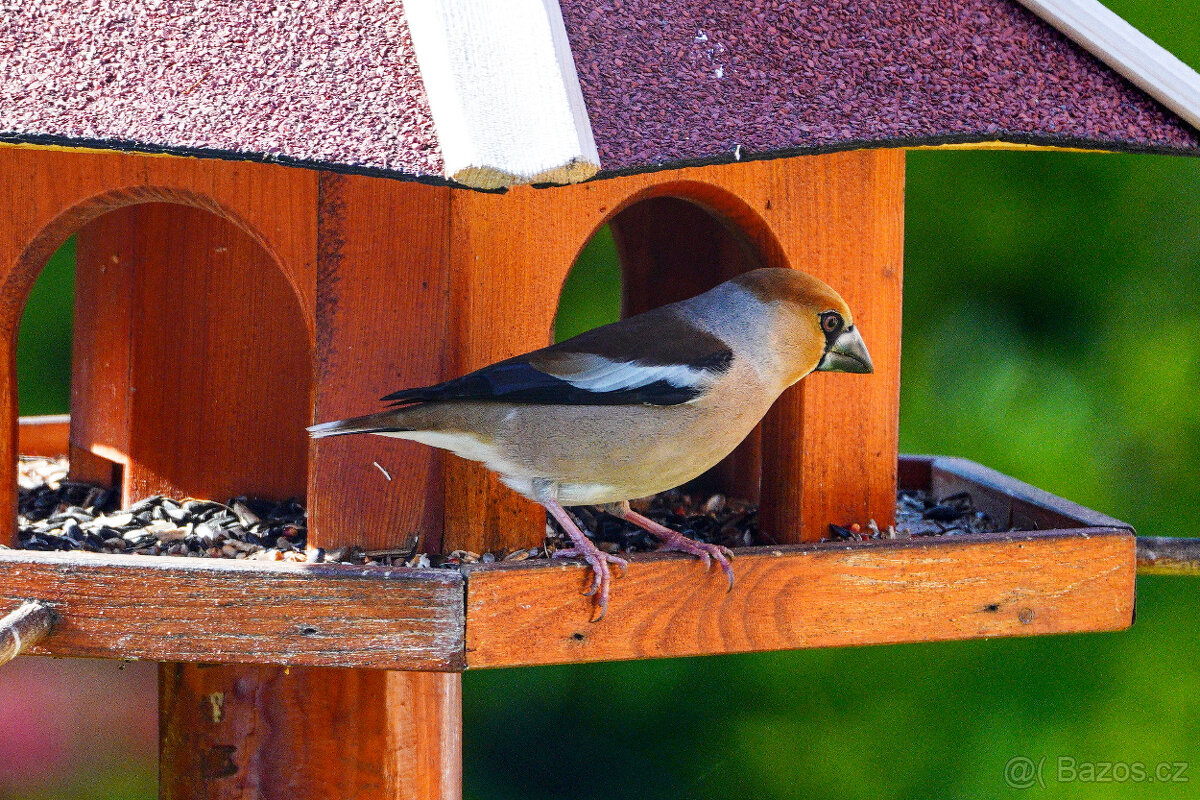 Sony FE 200-600mm + neopren Rolanpro + UV STAV NOVÉHO - 15