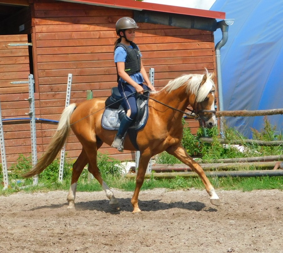 pony A do sportu - 15