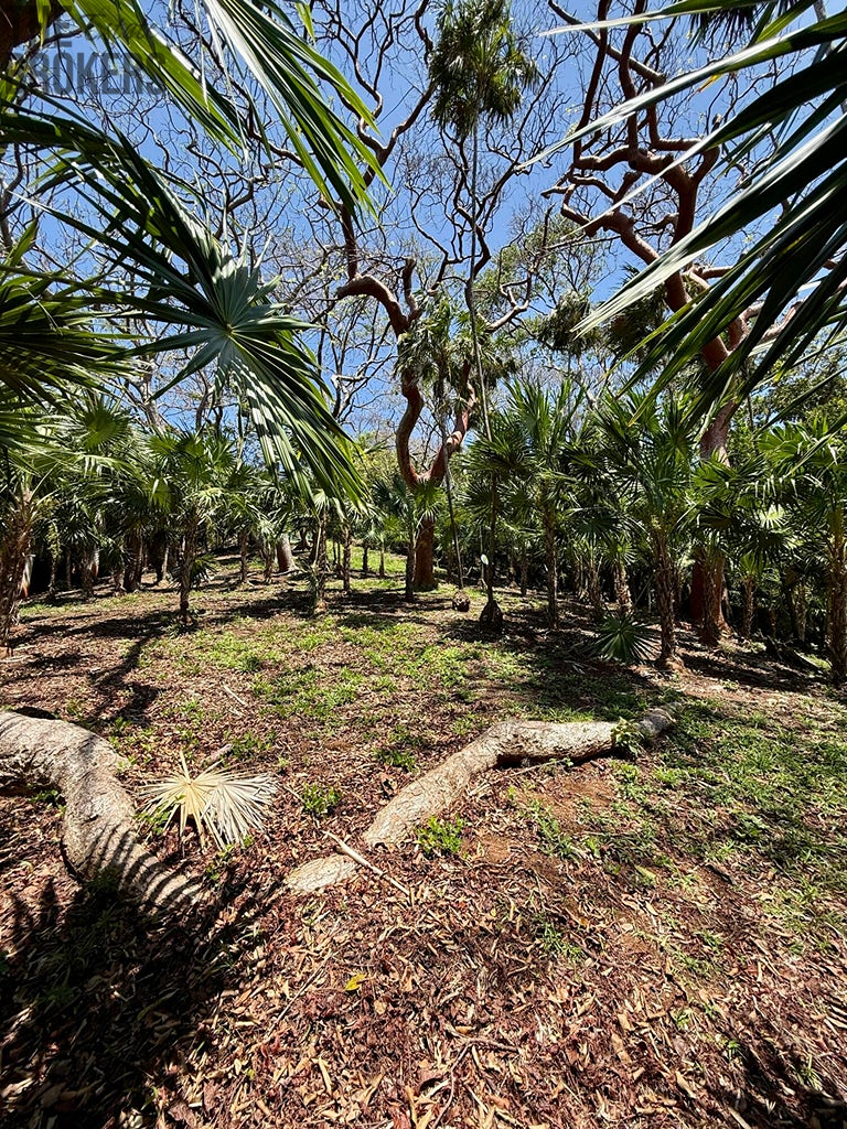 Atocha Lot 1&2 -First Bight, Roatan - 15