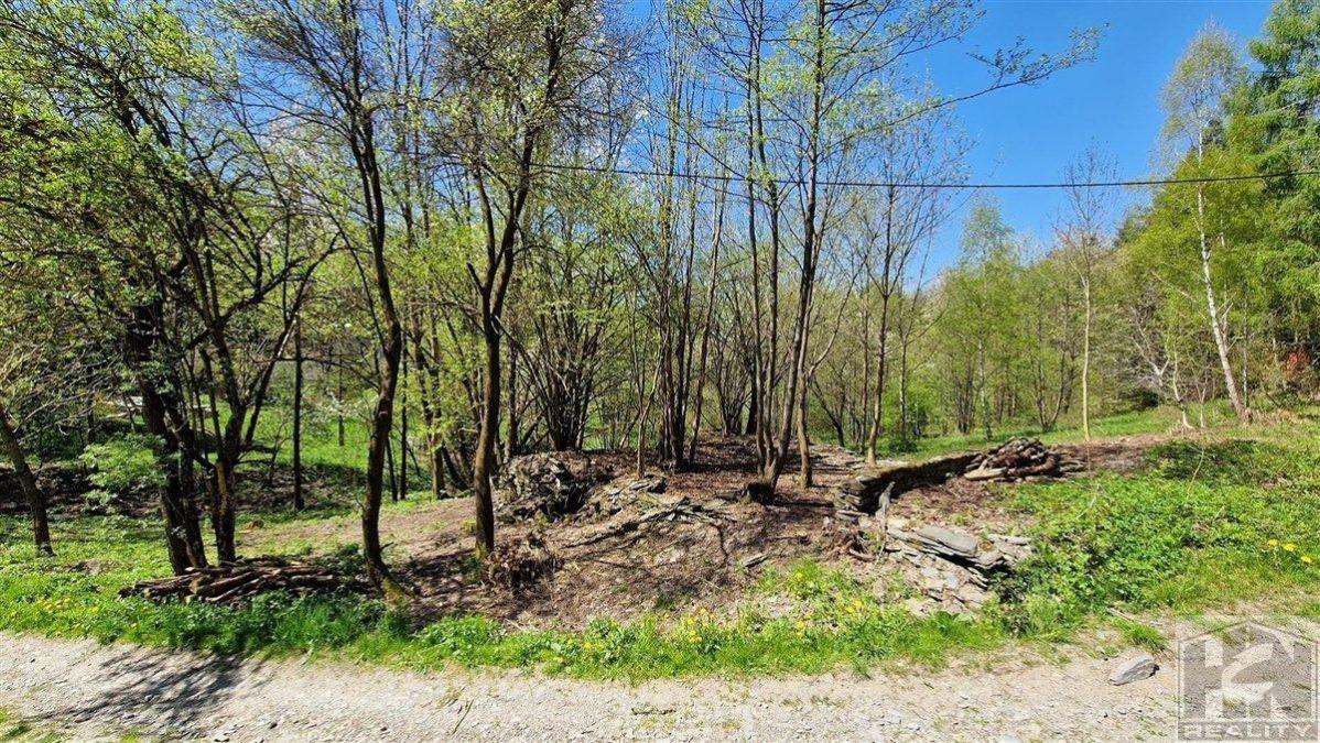 Prodej pozemku v obci Radčice u Železného Brodu 1417m2 - 15