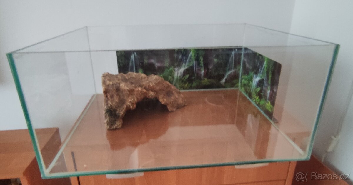 Klapavka obecná + vybavení. - 15