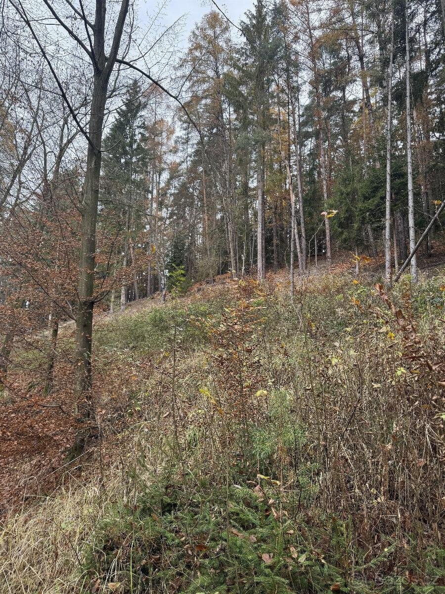 Prodám lesní pozemky v k.ú. Střemeníčko - 15
