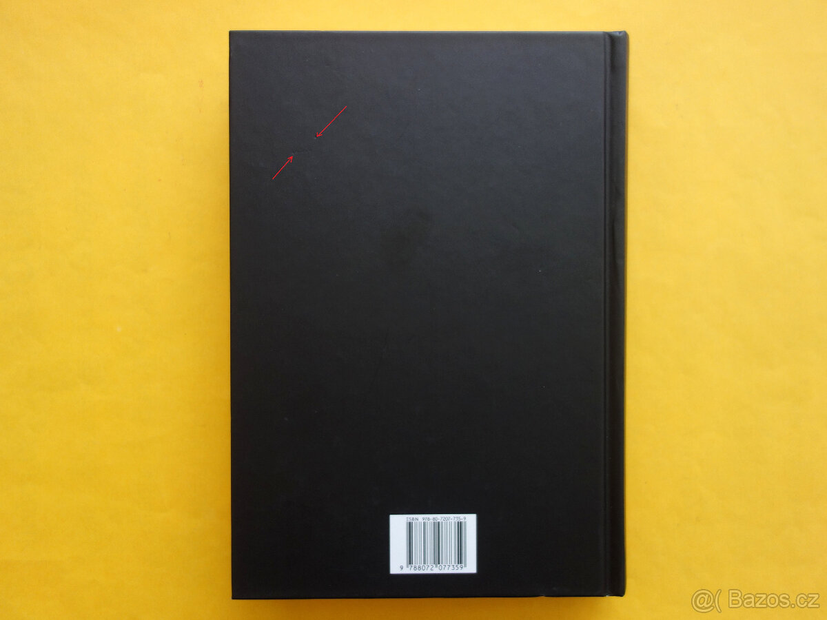 Na samém kraji útesu / příběh skupiny Yes - Chris Welch - 15