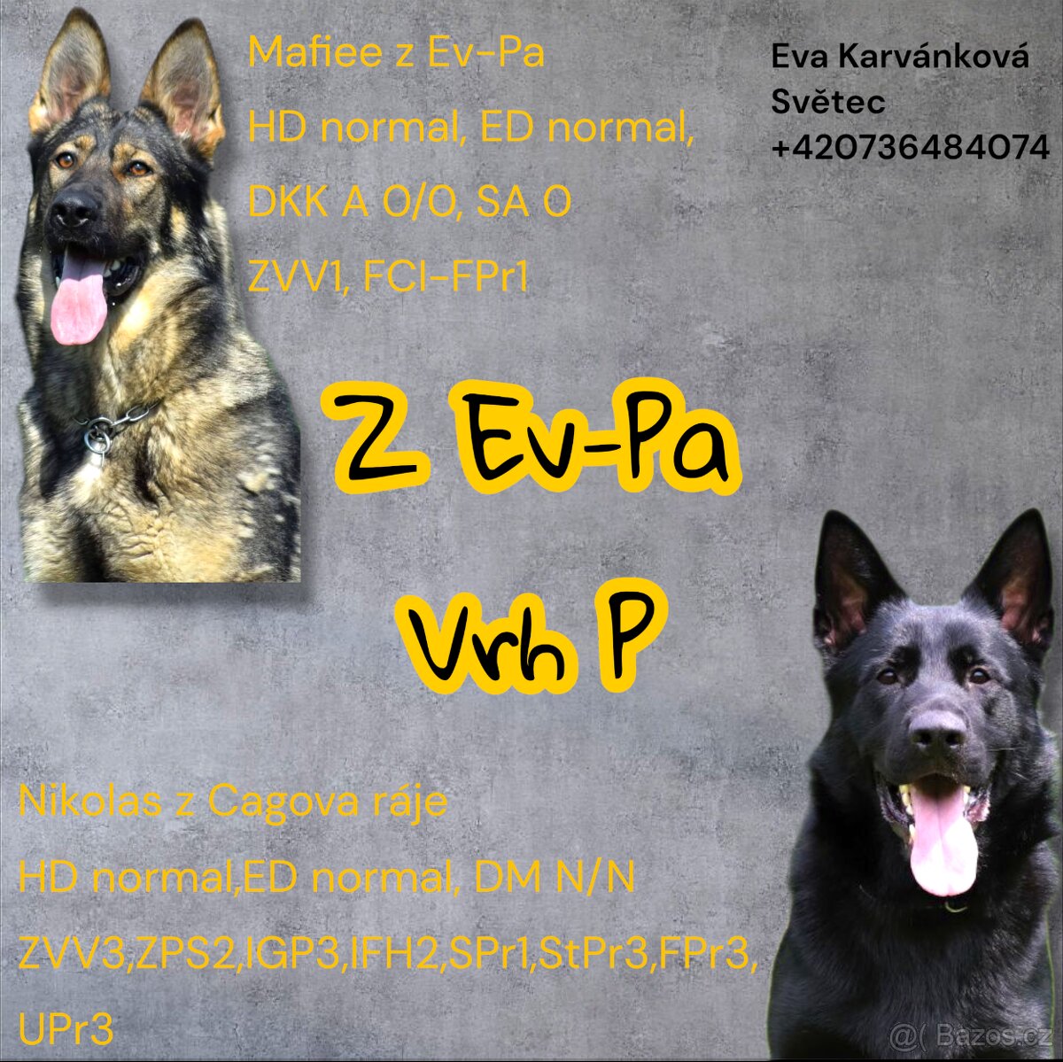 Německý ovčák s PP - 15