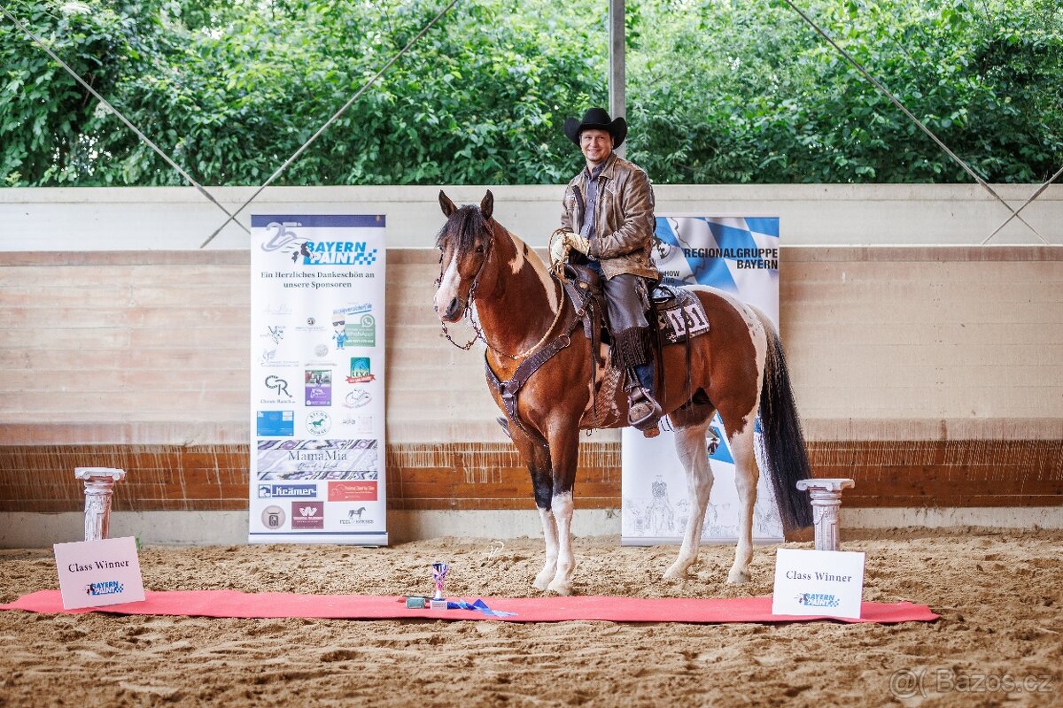 Fantastic Dj Valentin -připouštění homozygotní APH plemeník - 15