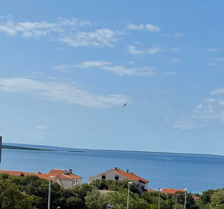 Chorvátsko-zariadený 3-izbový apartmán s výhľadom na more - 15