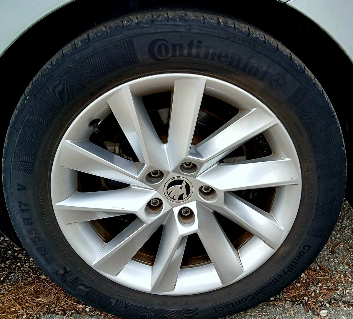 Superb Combi III, 2.0 Tdi STYLE. - 15