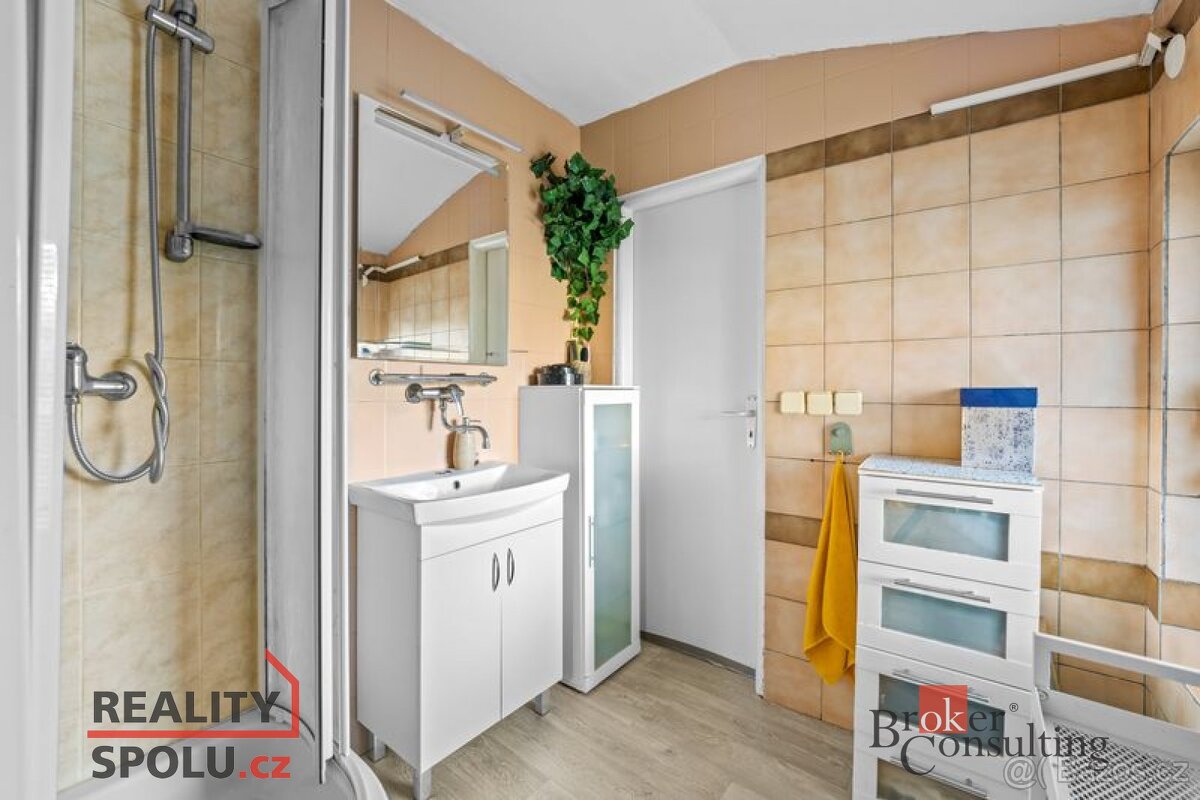 Prodej, domy/rodinný, 250 m2, Na Okrouhlíku 1556/29, Pražské - 15