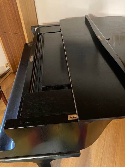 Klavír – křídlo August Förster - 15