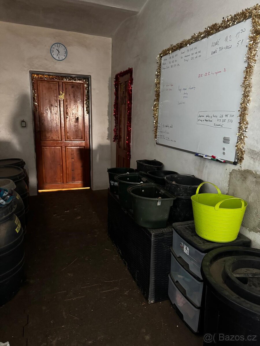 Ustájení koní - box - 15