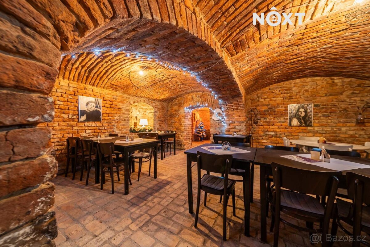 Prodej Rodinný dům, 480㎡ - 15