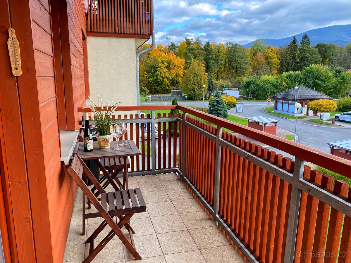 Pronájem byt 1kk (40m2) + park. stání, Čeladná - Farské luky - 15