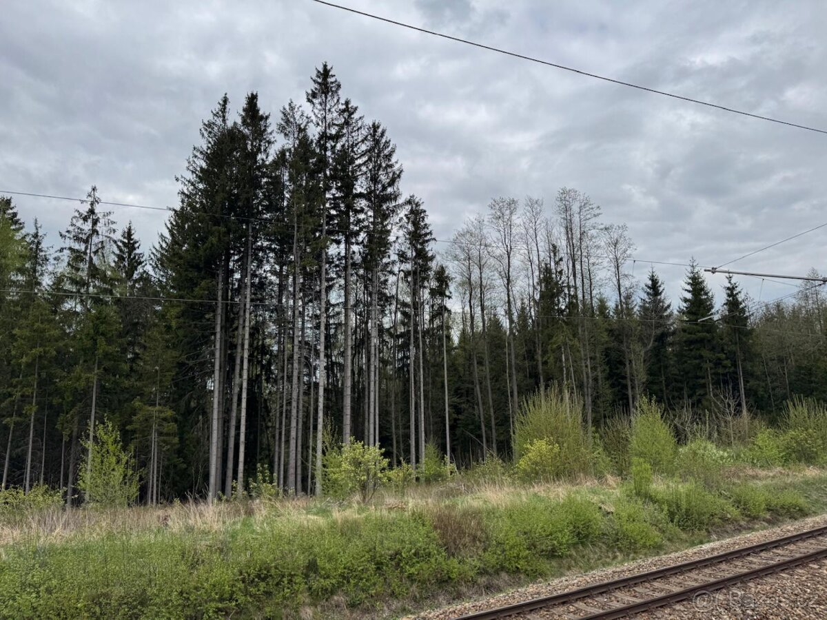 Prodám lesní pozemek v k.ú. Bednáreček - 15