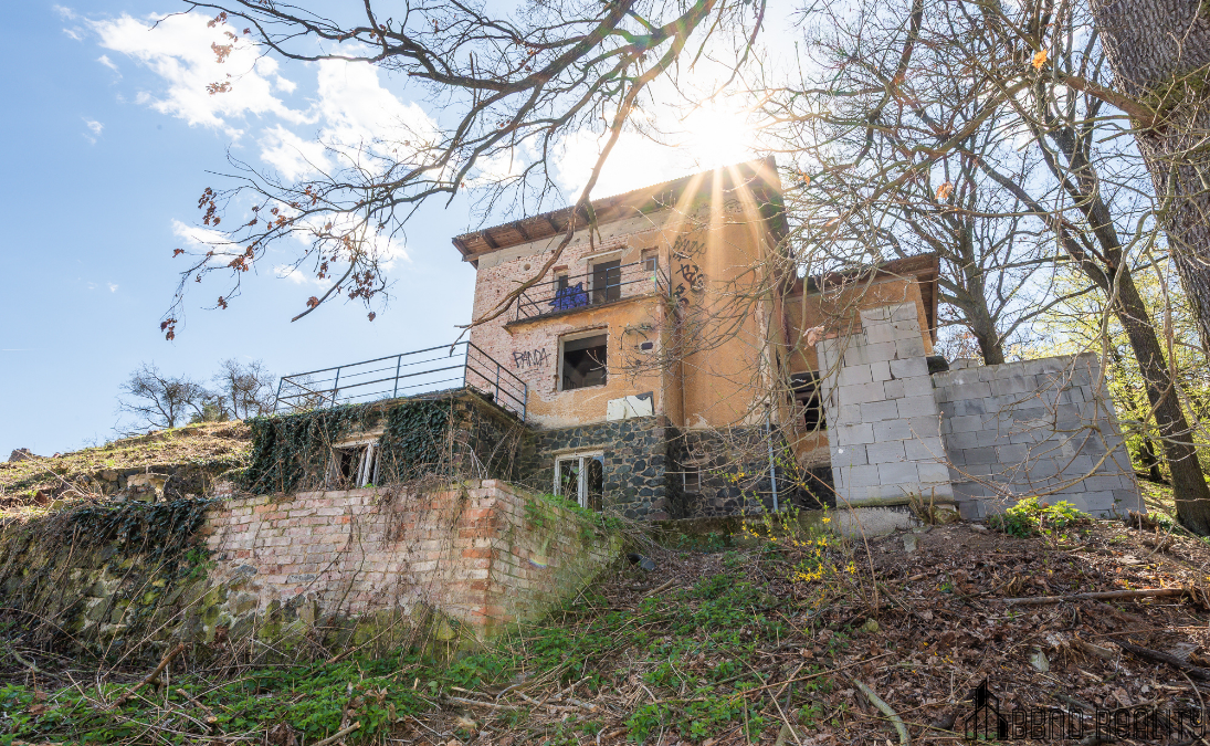 Prvorepubliková vila s pozemkem 5 181 m² v Želešicích - 15