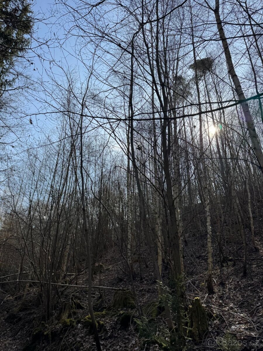 Prodám pozemky v katastrálním území Louňovice pod Blaníkem - 15