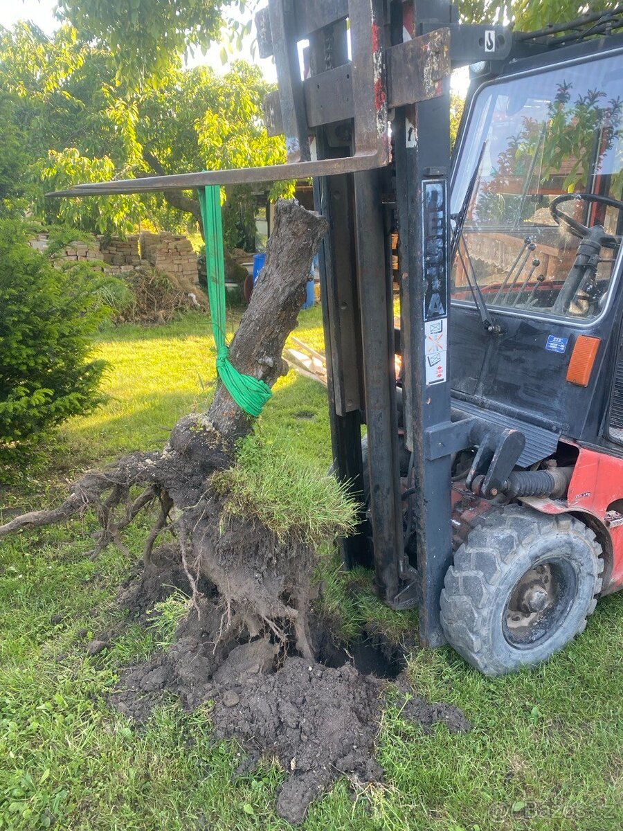 Desta DVHM 1622 LXK - 15