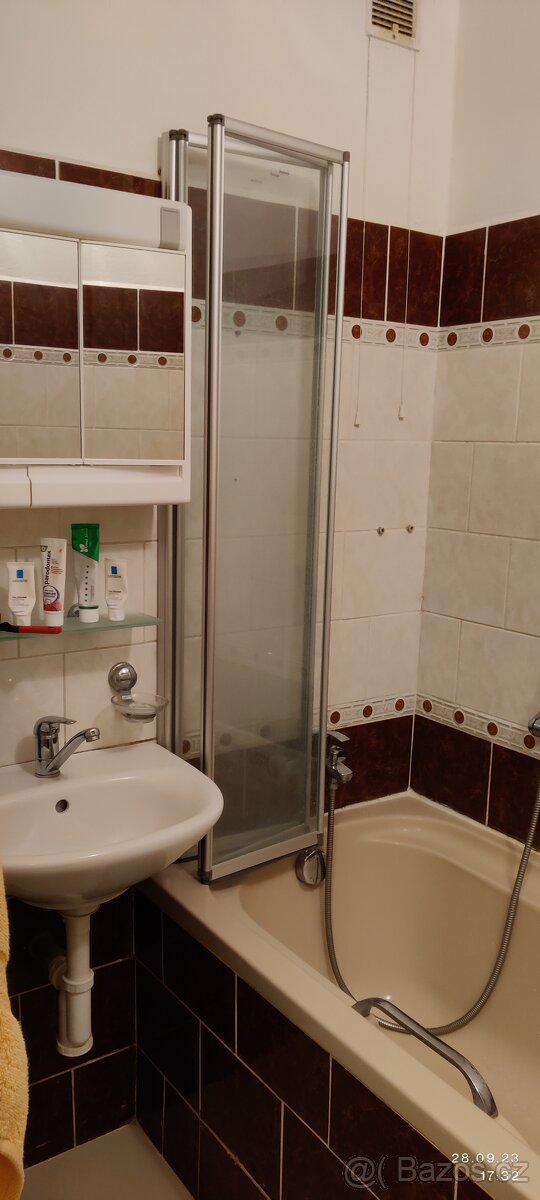 Pronájem řadového RD 4+1 - Blatná - Myštice - 15