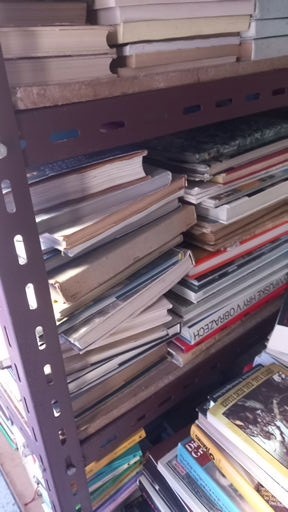 Prodám hodně knih více než 1000 kusů - 15